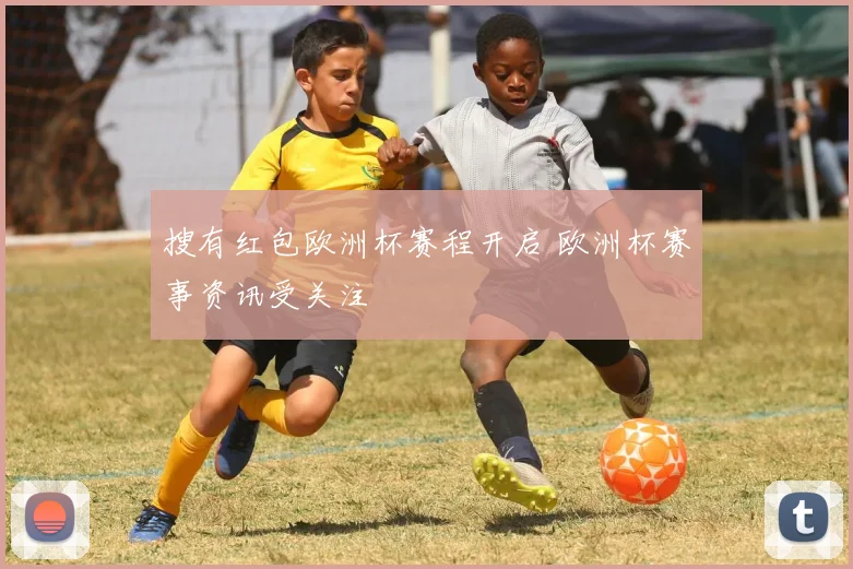 搜有红包欧洲杯赛程开启 欧洲杯赛事资讯受关注