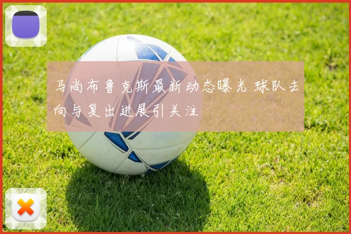 马尚布鲁克斯最新动态曝光 球队去向与复出进展引关注