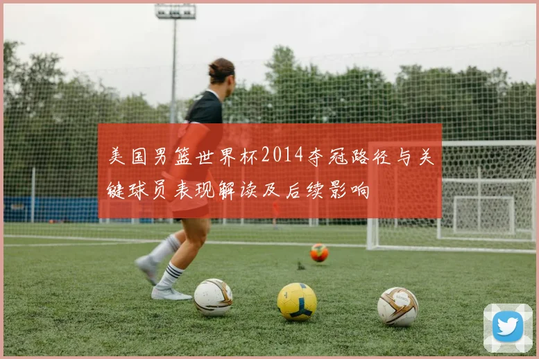 美国男篮世界杯2014夺冠路径与关键球员表现解读及后续影响