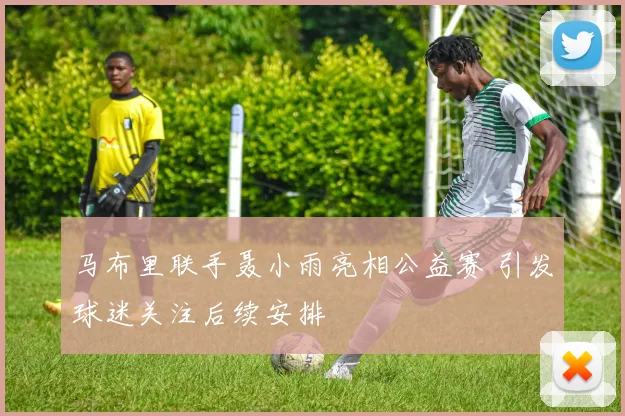 马布里联手聂小雨亮相公益赛 引发球迷关注后续安排