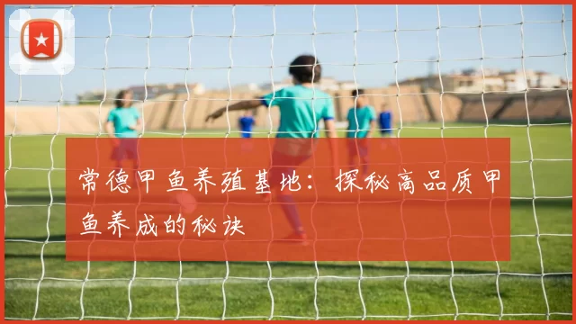 常德甲鱼养殖基地：探秘高品质甲鱼养成的秘诀